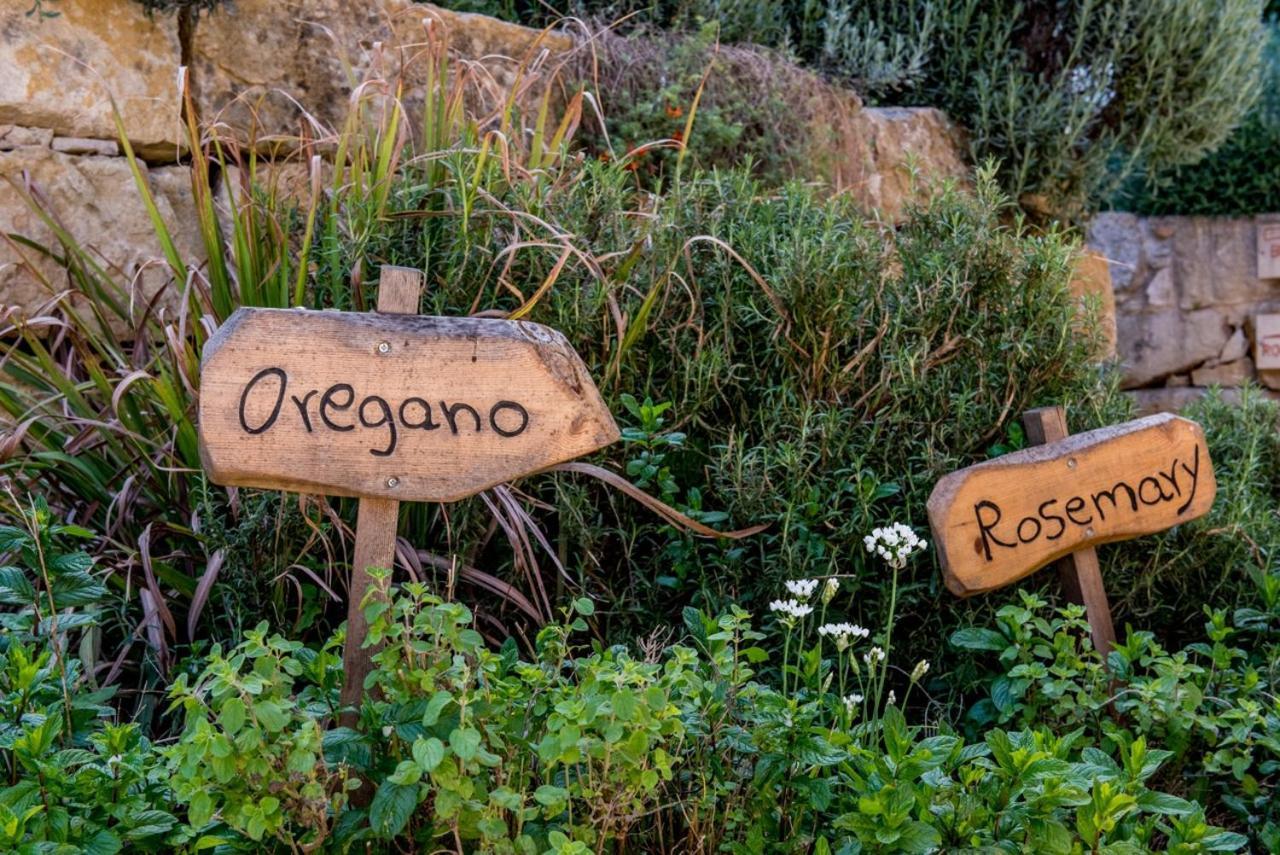 Secret Forest - Wellness Retreat & Healing Spa (Adults Only) Miliou Buitenkant foto