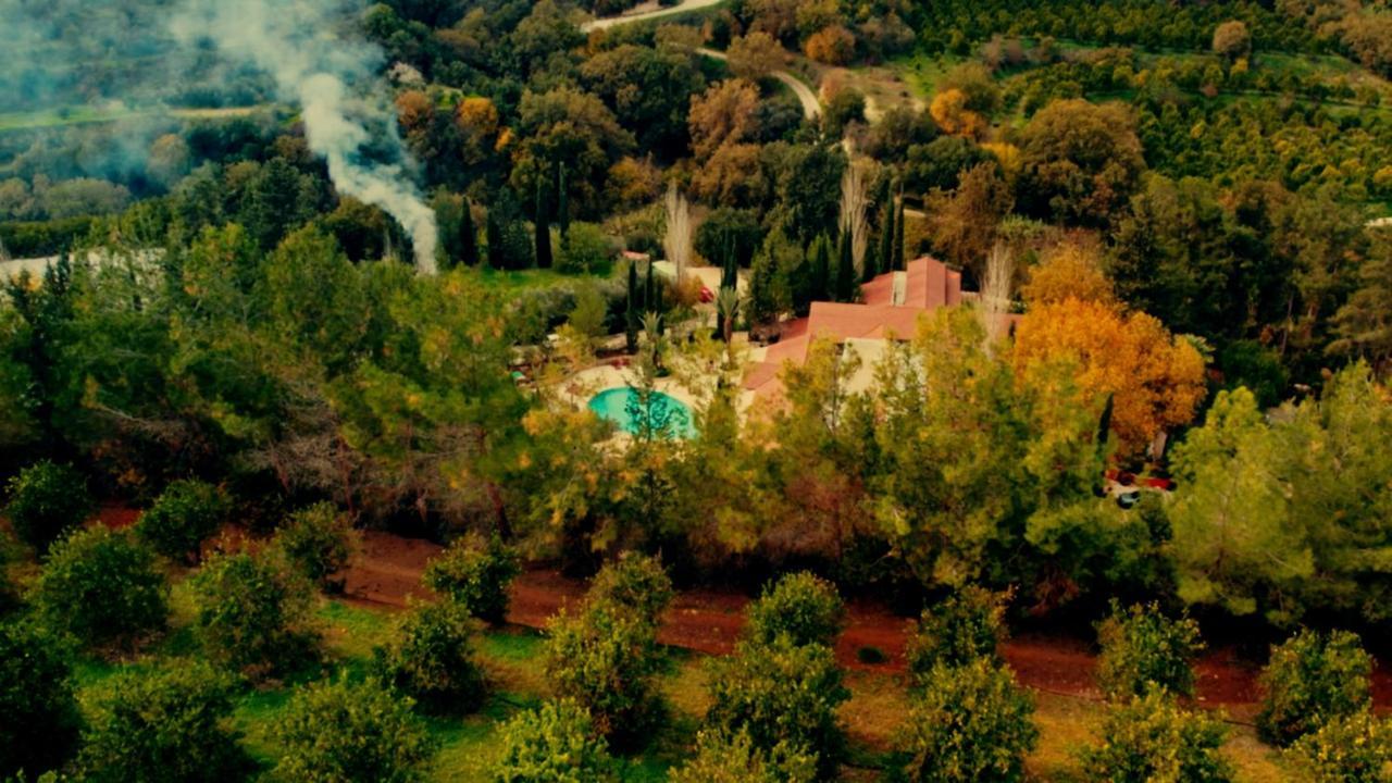 Secret Forest - Wellness Retreat & Healing Spa (Adults Only) Miliou Buitenkant foto