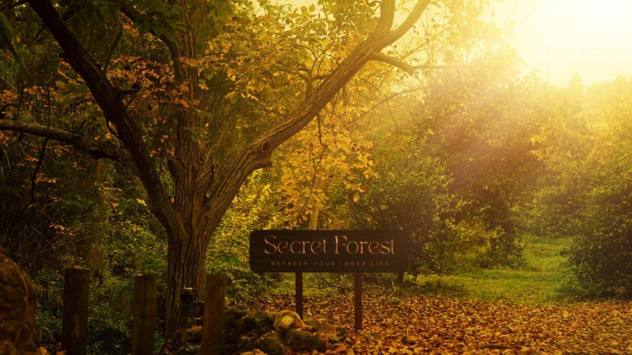 Secret Forest - Wellness Retreat & Healing Spa (Adults Only) Miliou Buitenkant foto