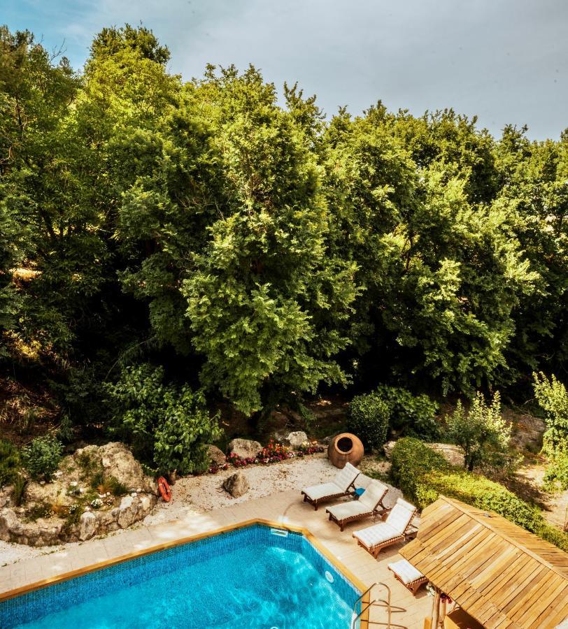 Secret Forest - Wellness Retreat & Healing Spa (Adults Only) Miliou Buitenkant foto
